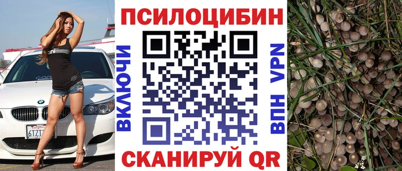 Галлюциногенные грибы GOLDEN TEACHER  где купить   Славгород 