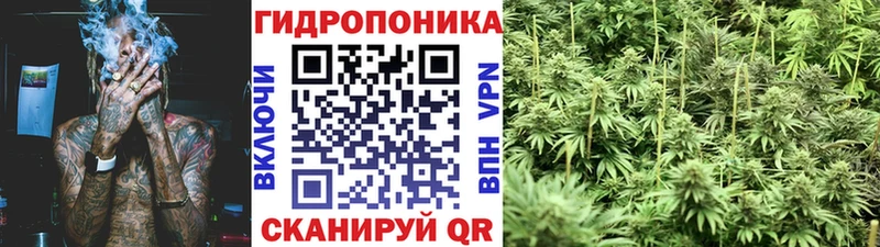 гидра вход  Славгород  Марихуана Amnesia 